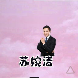 苏婉清